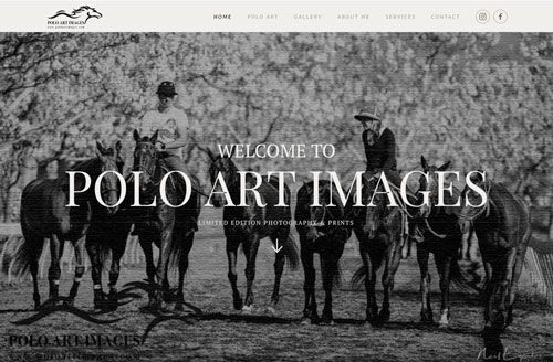 polo art images website designed by 121web.site